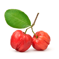 acerola Acerola
